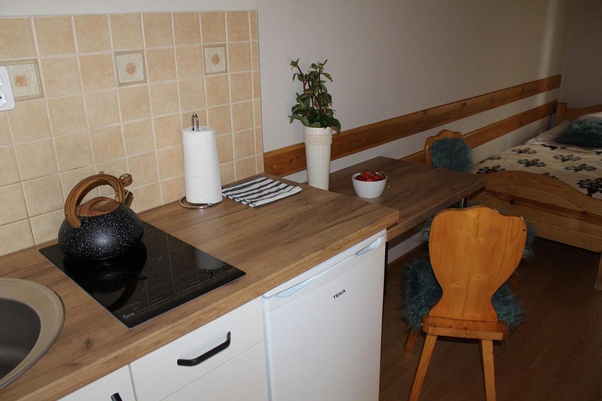 Apartamenty Nad Potokiem Zakopane Extérieur photo
